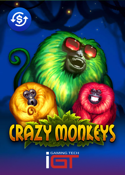 Crazy Monkeys
